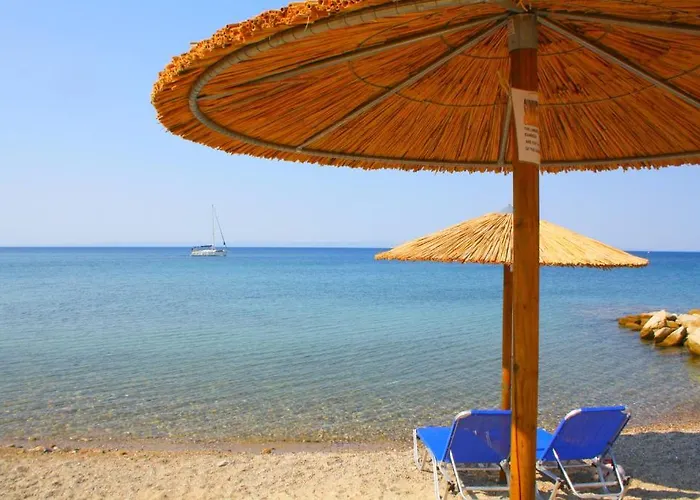 Apartman Summer House