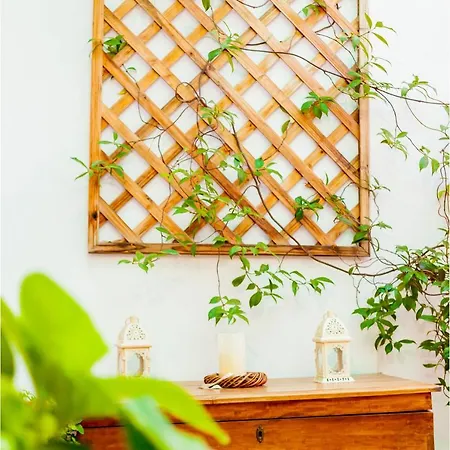 Summer House *