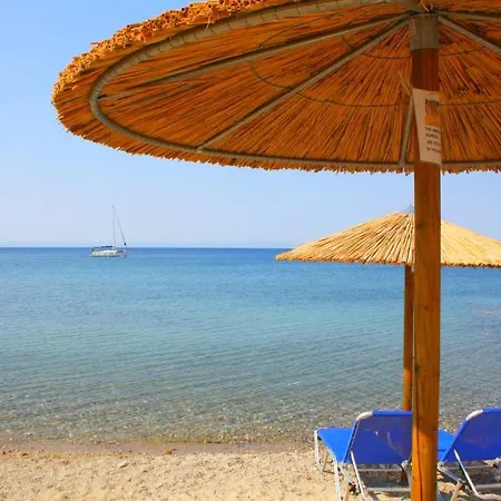 Apartman Summer House